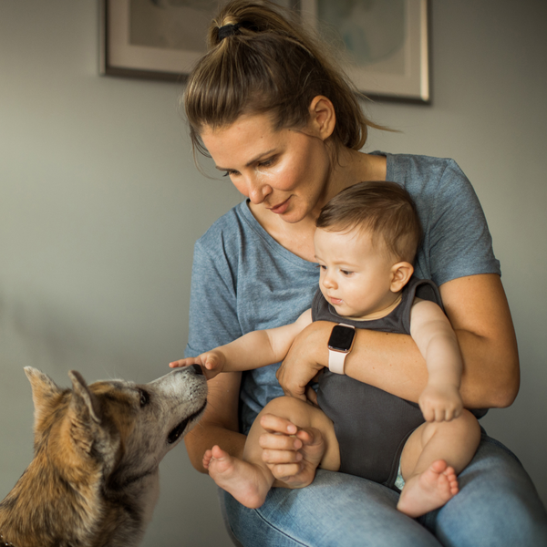 ¿Es buena idea que los bebés convivan con perros?