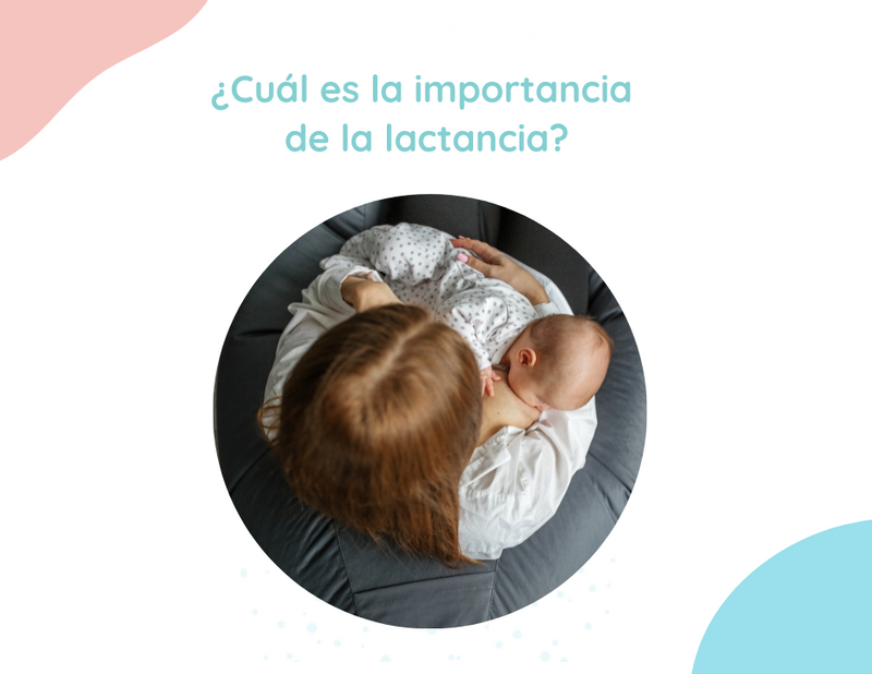 ¿Cuál es la importancia de la lactancia?