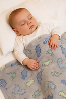 Cobertor ligero ultrasuave microfibra Dinosaurios Glow