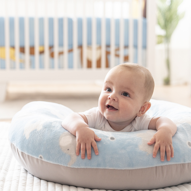 Almohada De Lactancia/ Cojín Para Alimentar Bebé Con Biberón O